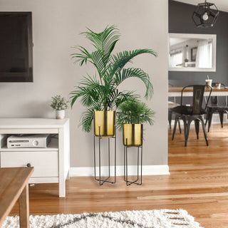 Ways To Upgrade Any Room with Indoor Planters!