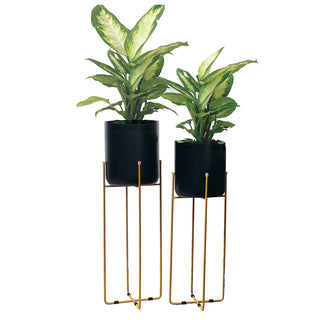Vivid Set of 2 Planter Stands , Black / Brass