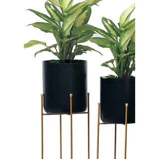 Vivid Set of 2 Planter Stands , Black / Brass